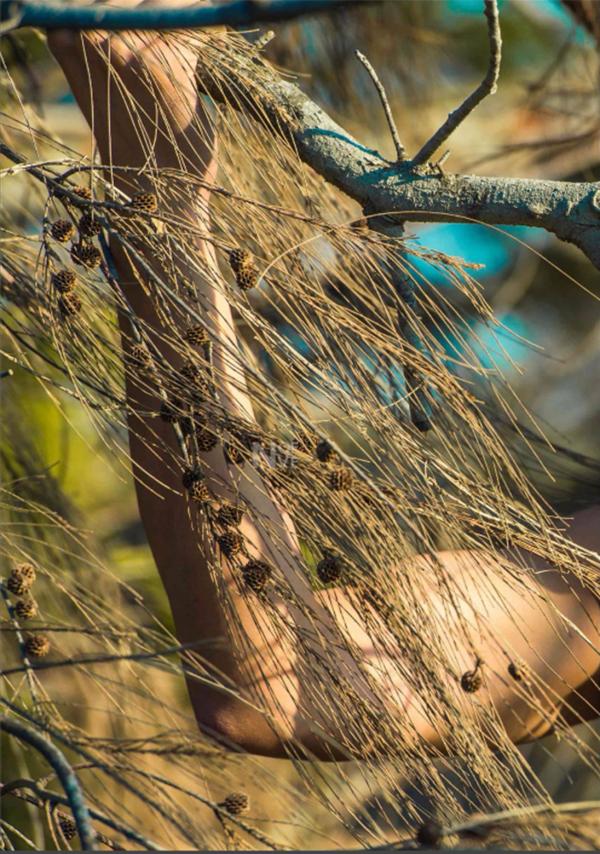 Whoseman-4-明星教練男丁格爾-芬達-全裸非全見寫真書